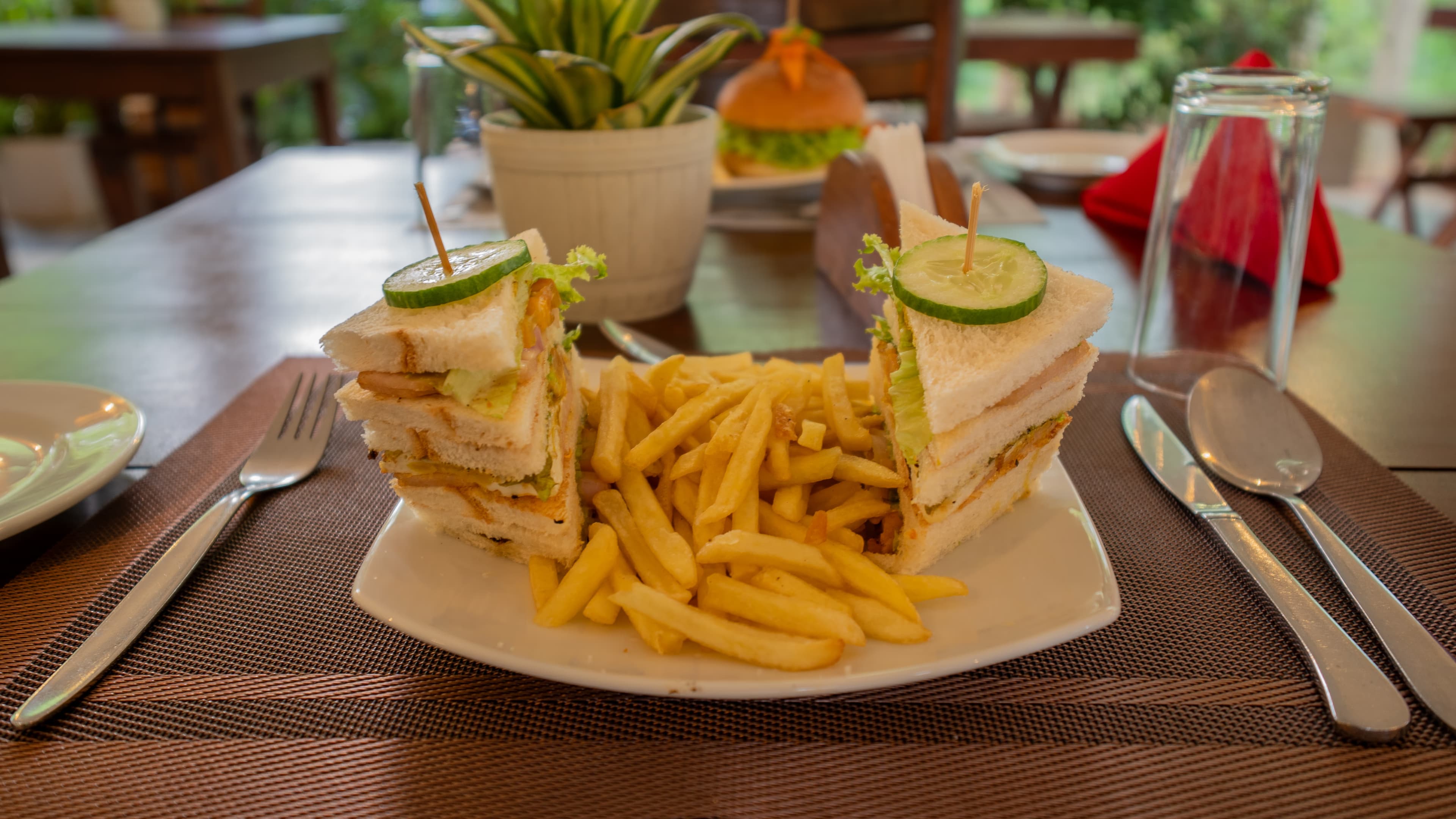 Food dish 4