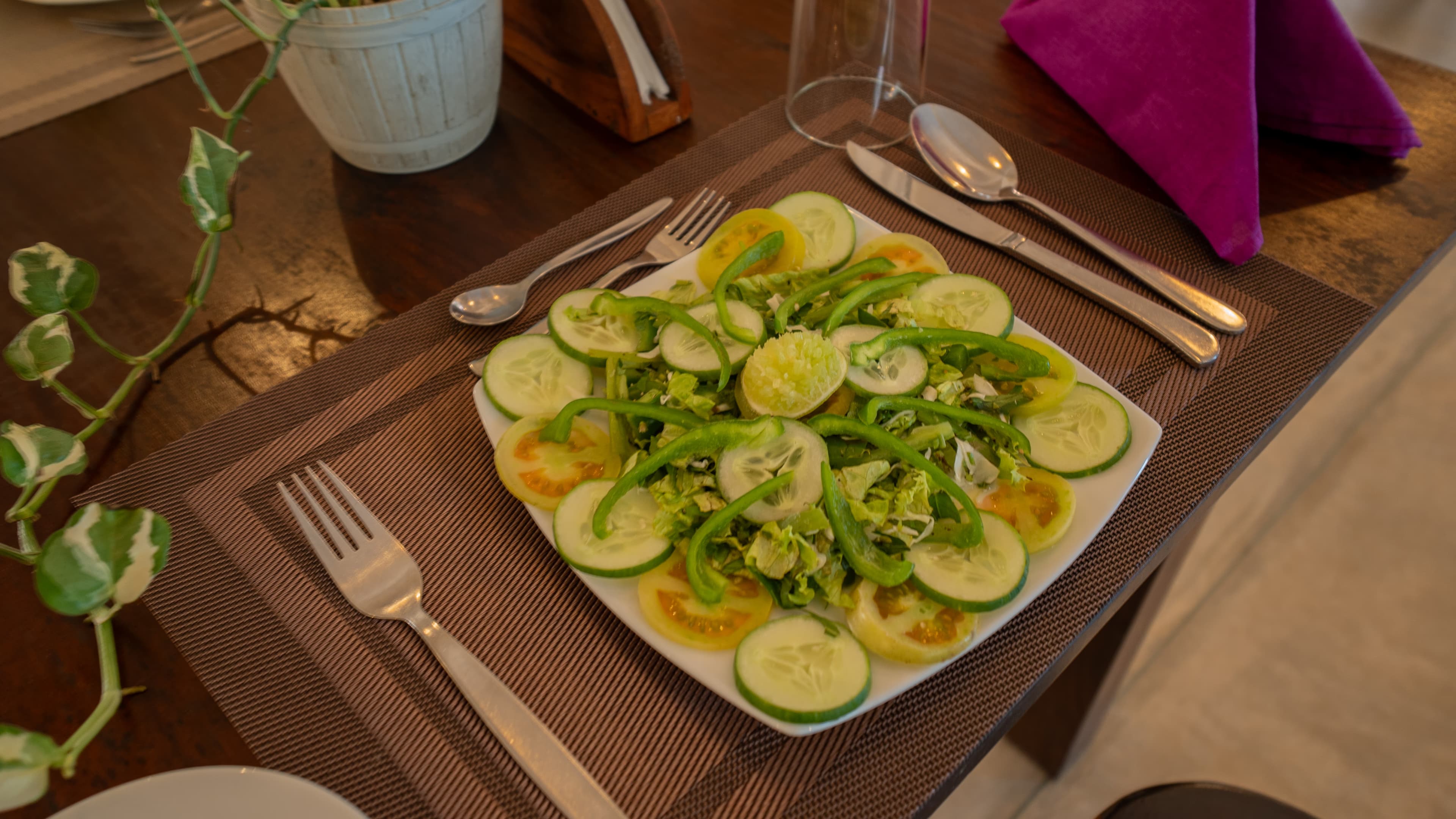 Food dish 15