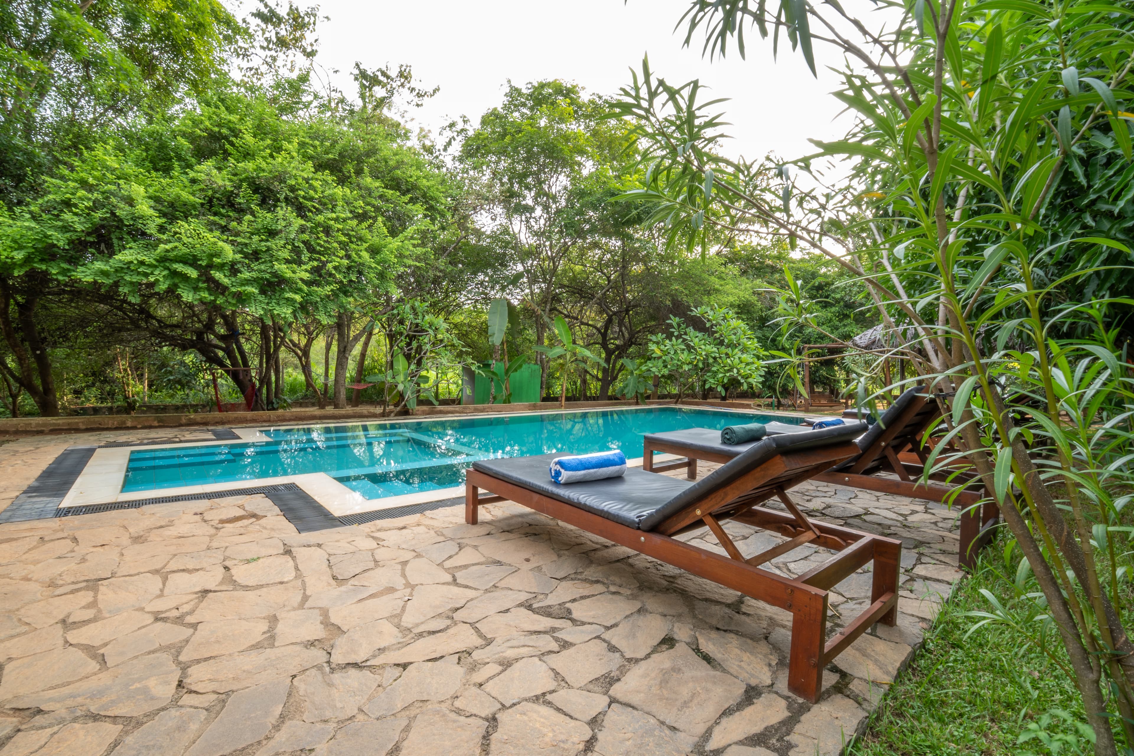 Pool Deck
