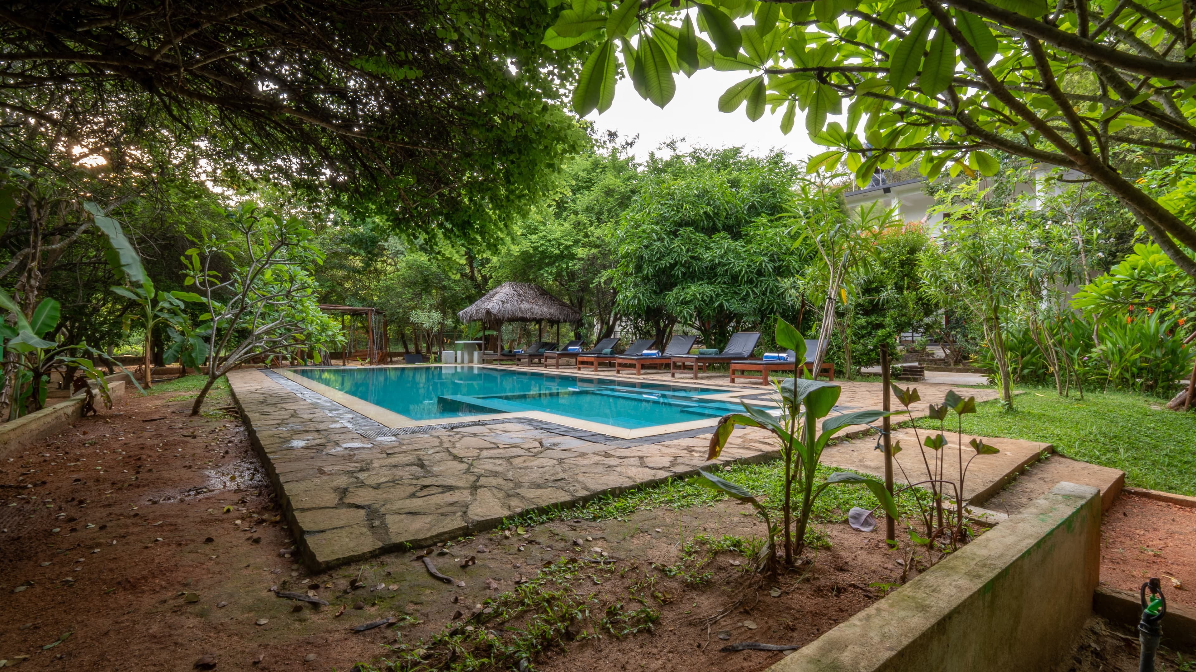 Nature Pool