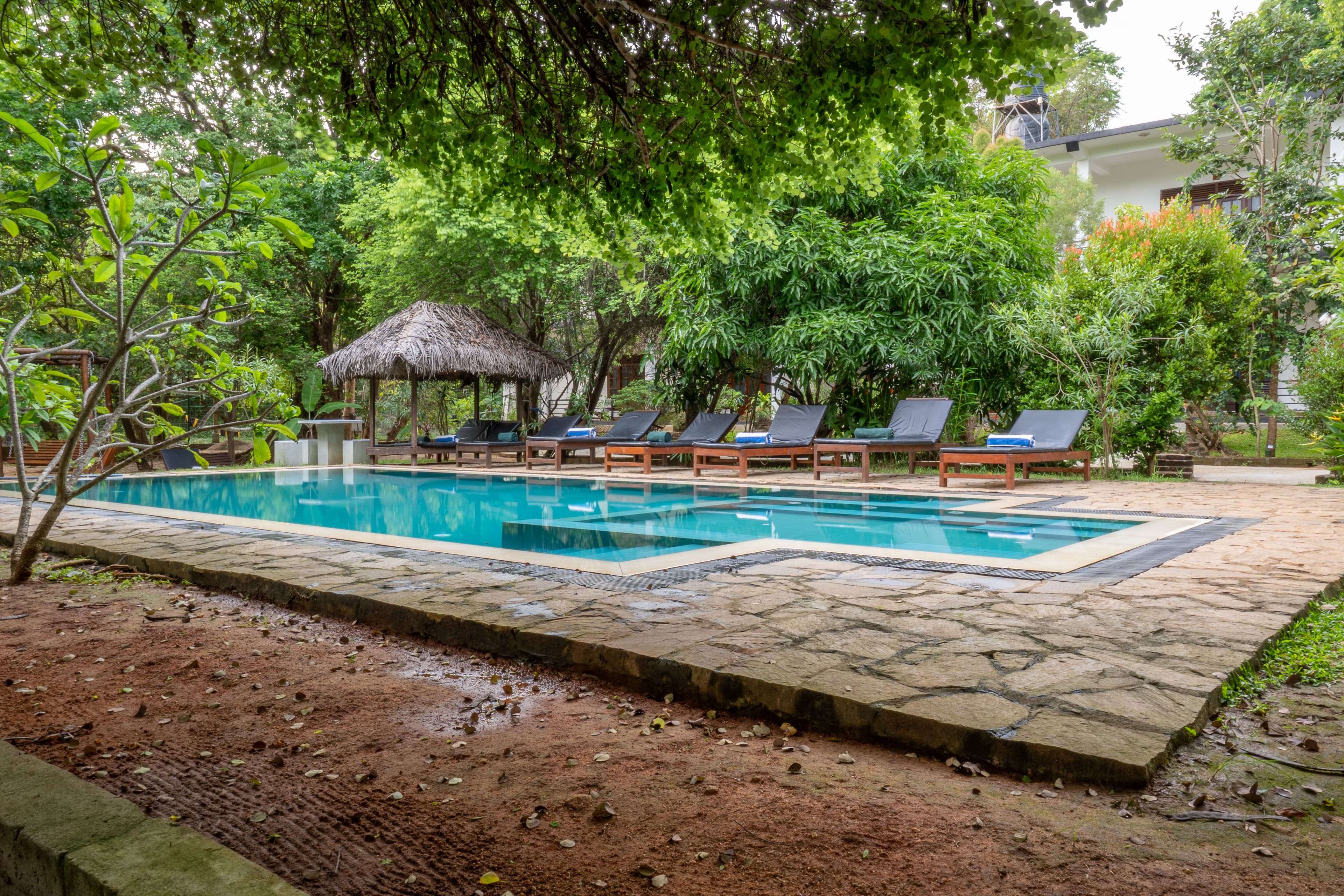 Pool & Greenery