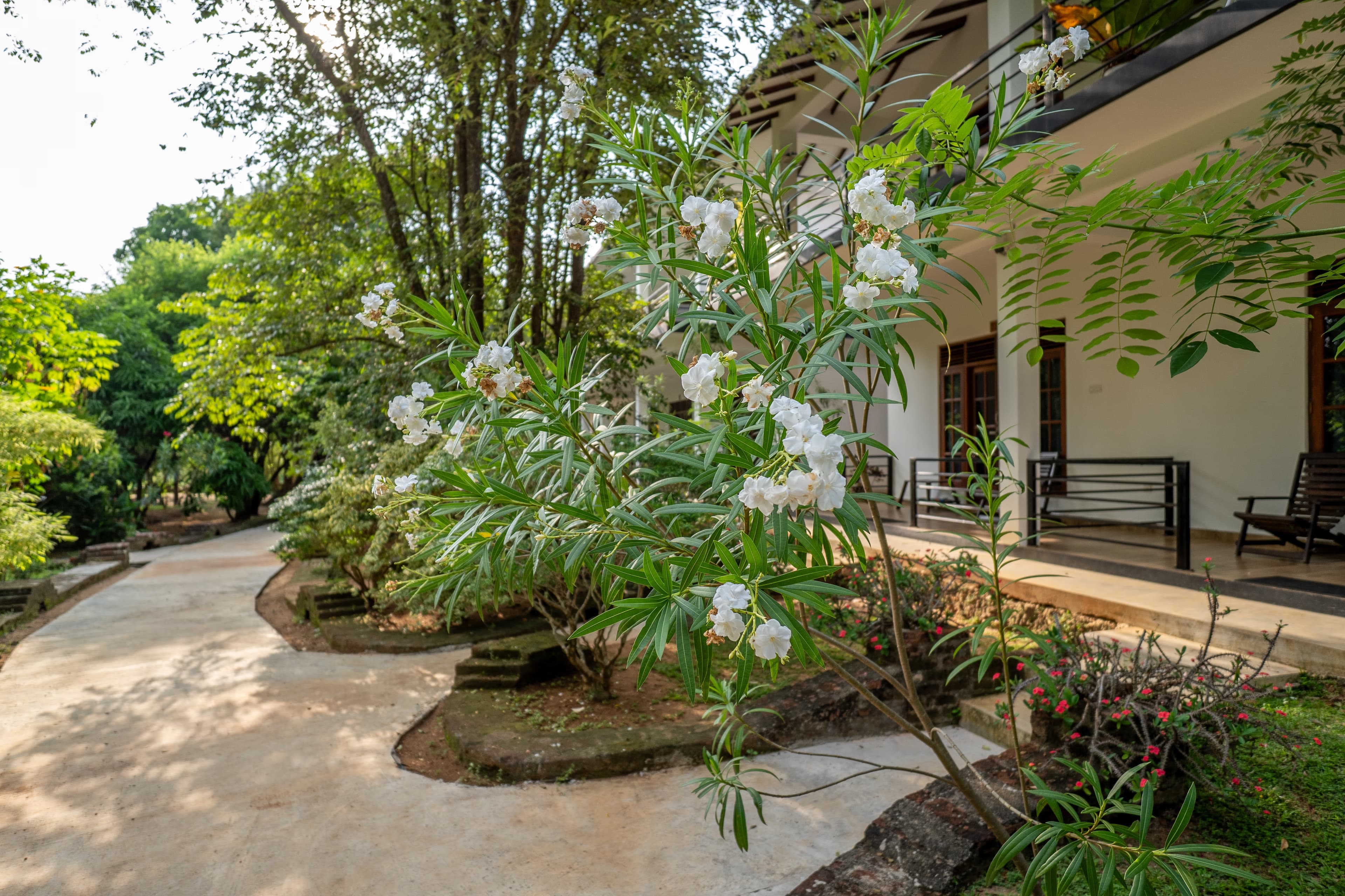 Tropical Entrance